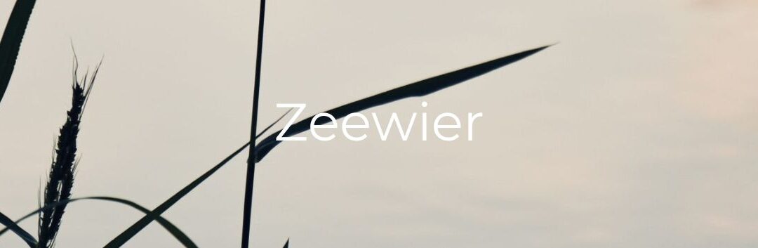 Dag 12 – ZEEWIER