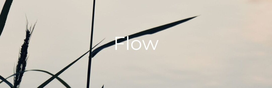 Dag 13 – FLOW